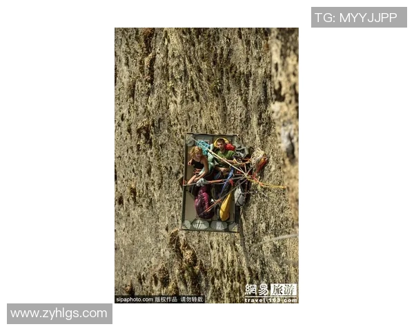 南京攀岩队的灵活性揭秘：挑战极限与团队协作的完美结合